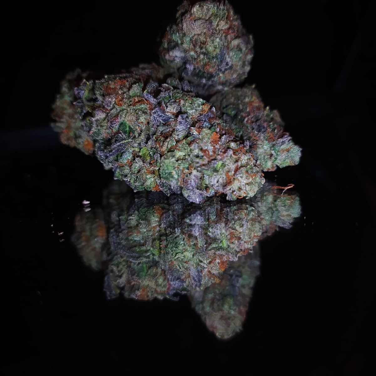 Flores SmokeKings sobre fondo oscuro