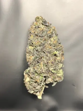 Flor seleccionada en plano cerrado